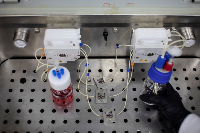 Клетки больных раком используются в напечатанных на 3D-принтере опухолях для тестирования методов лечения
