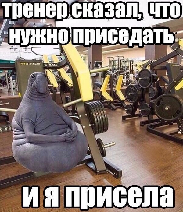 Картинки фитнес тренер прикольные, идем бухать днем
