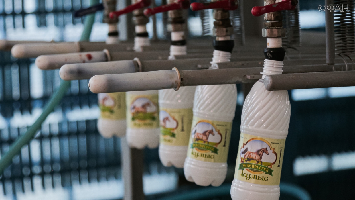 ФАН узнал секреты и особенности производства крымского кумыса