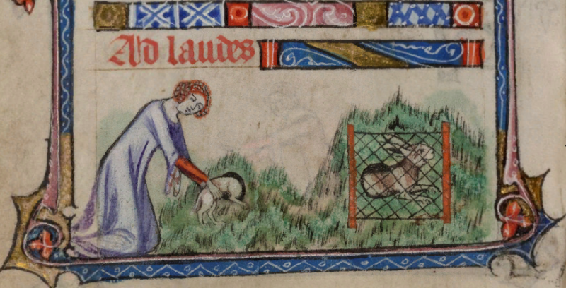 Иллюстрированная повесть об охоте знатных дам из средневекового замка Иллюстрированная повесть об охоте знатных дам из средневекового замка история