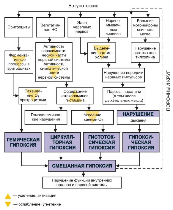 Химическое оружие в Донбассе. В ожидании провокаций украина