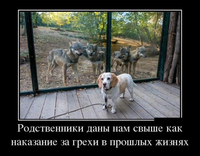 Демотиваторы на понедельник 22 октября 