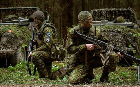8 боевых приемов Прибалтики: как страны Балтии готовятся к войне с Россией