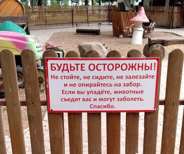 Смешные картинки с фейхоа, анимации музыкальные