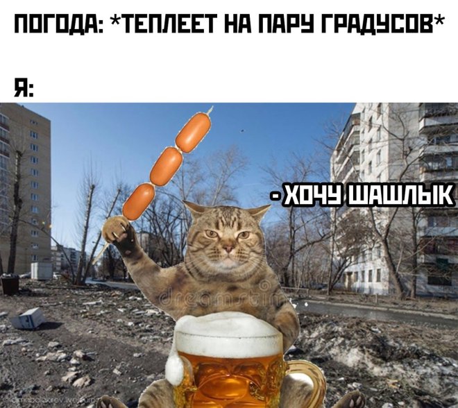 Смешные картинки с надписями и вегетарианские креветки 