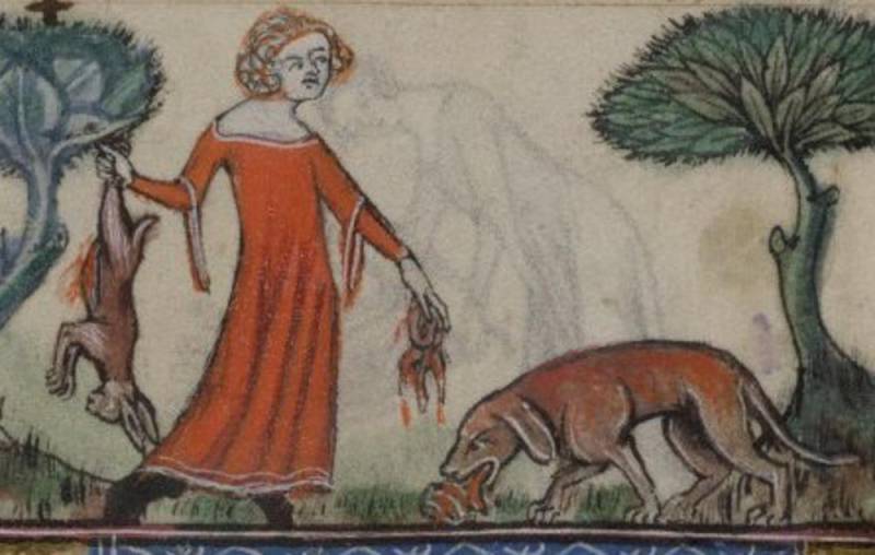 Иллюстрированная повесть об охоте знатных дам из средневекового замка Иллюстрированная повесть об охоте знатных дам из средневекового замка история