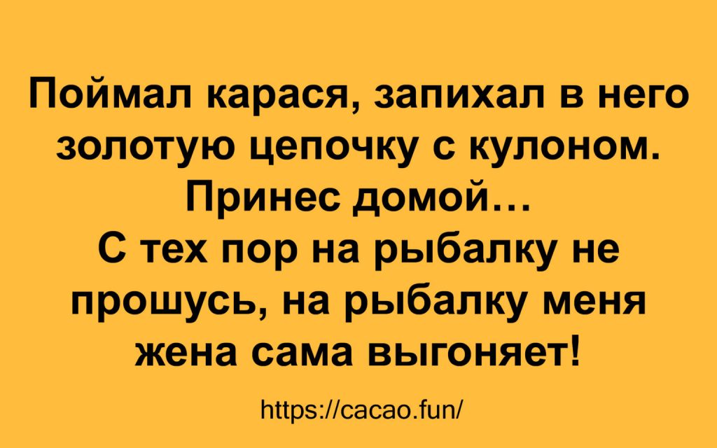 Несколько  анекдотов на разные житейские темы 