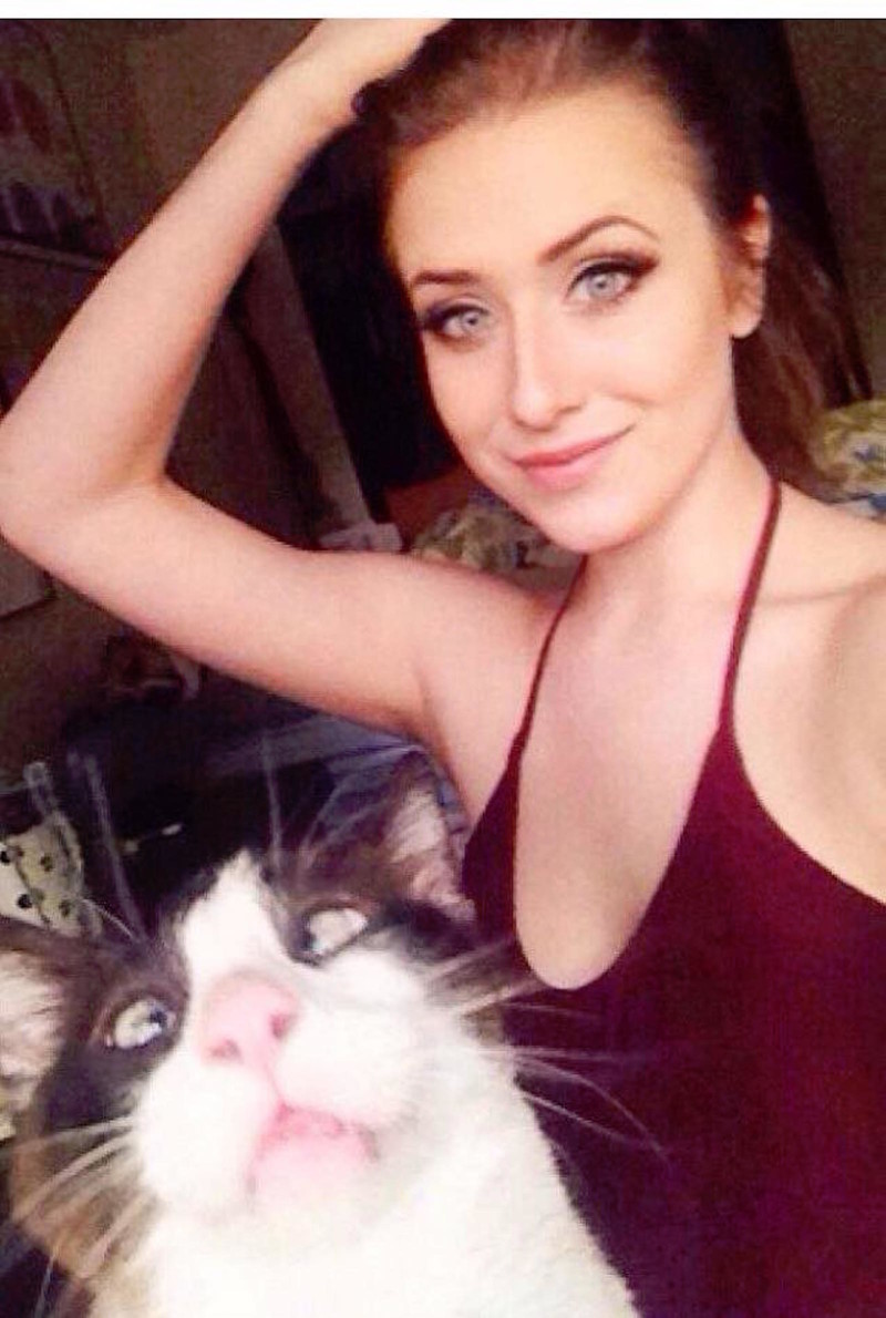 Внезапные коты коты, кошки, юмор