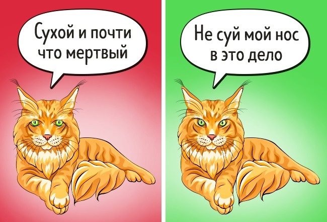 Факты о животных, в которые не стоит верить