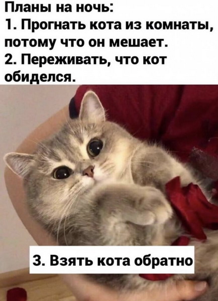 Зверский юмор, КОТОФейный 