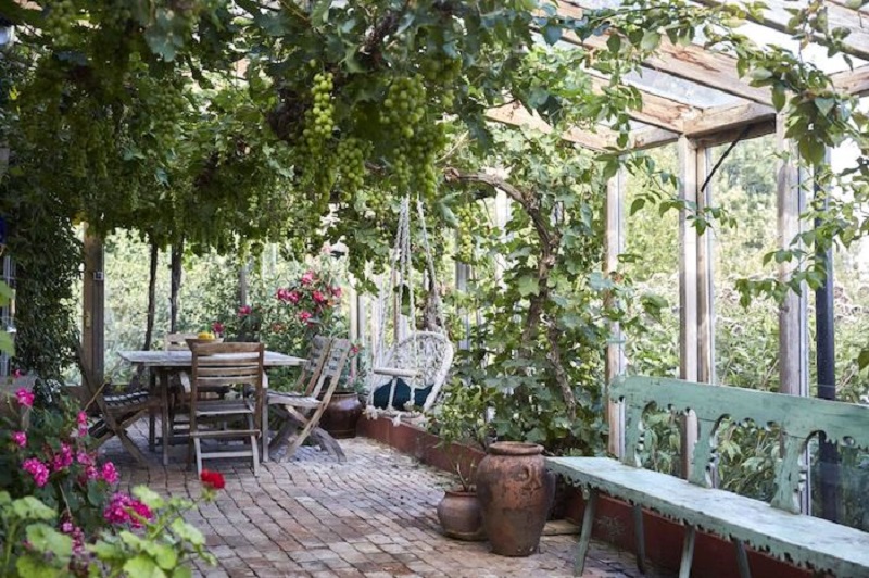 Сарай, теплица - идеи для облагораживания дачного садового участка Сарай, теплица - идеи для облагораживания дачного садового участка домашний очаг,,идеи для дачи,рукоделие,своими руками