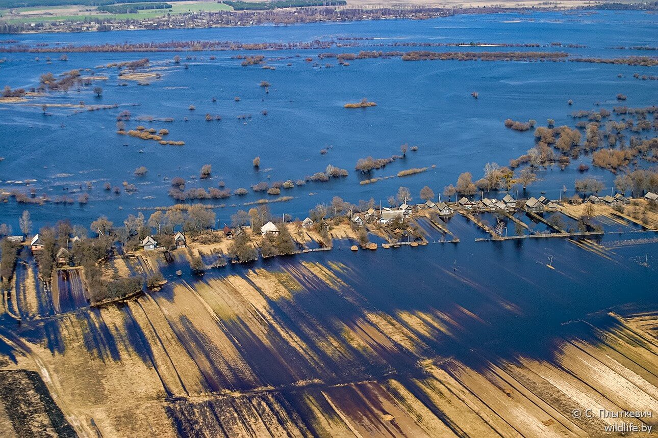 Белорусская «Амазония» удивила иностранцев заграница,путешествие,туризм
