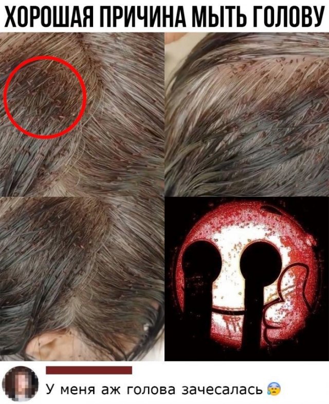 Смешные комментарии к постам в социальных сетях  позитив,смешные картинки,юмор