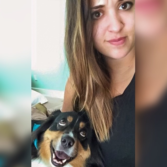 16 собак, которые слишком устали быть хорошими мальчиками 16 собак, которые слишком устали быть хорошими мальчиками