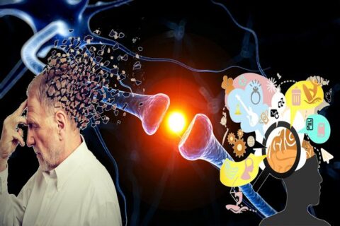 Почему мы забываем и как лучше запоминать: наука о памяти