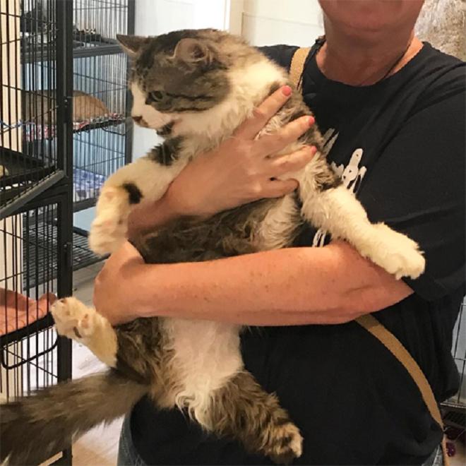 Мужчина с котом