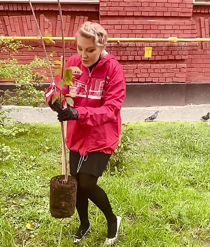 Иван Ургант, Оксана Фандера, Рената Литвинова, Надежда Михалкова и другие посадили деревья для 