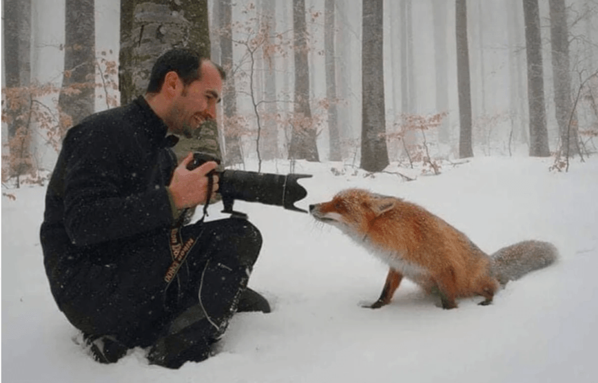 Забавные дуэты: животные и фотографы фотографировать, Фотографы, делаешь»«Я, горизонт, завален, второй, яркость, поменяй»«А, научи, хотим, стать, фотографами»«Эй, человек, косолапый, салага, фотографирую, хорошо»«Хватит, Давай, играться»«А, Еда»«Куку