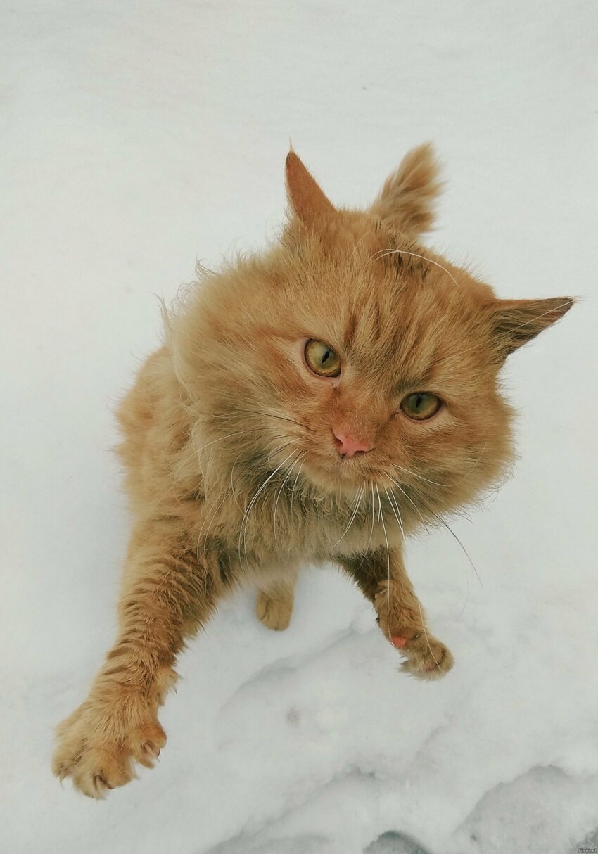 Юбилейная подборка интересных и веселых картинок №50 Юбилейная подборка интересных и веселых картинок №50 отдых