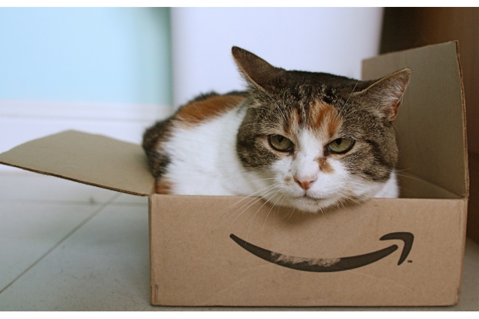 Кошки не любят, когда их будят или не дают заснуть. В таких ситуациях они даже могут начать урчать. Урчание — признак недовольства или стресса. Если вы хотите, чтобы ваш питомец рос психически здоровым и жизнерадостным, то не стоит доводить его до такого состояния