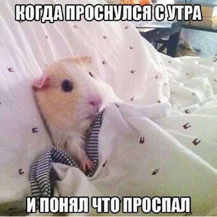 Картинки из соцсетей, сделающие ваш день Картинки из соцсетей, сделающие ваш день