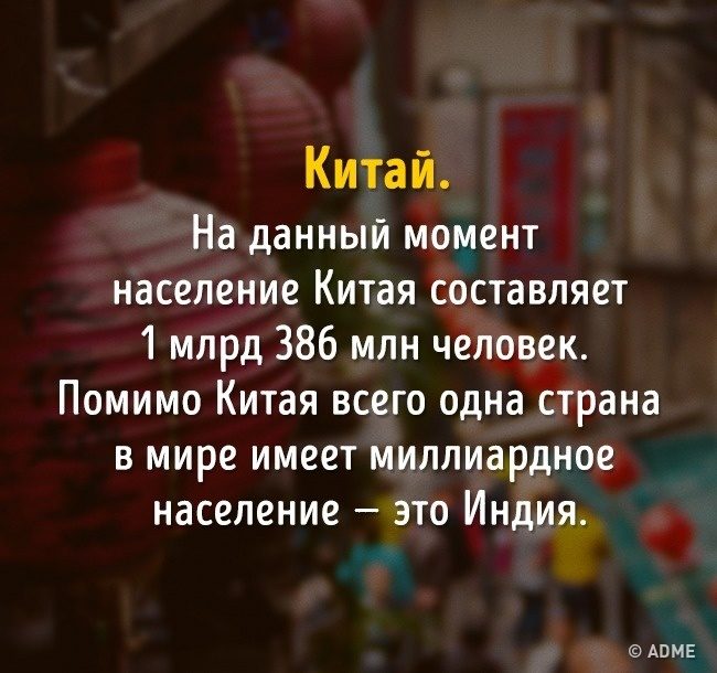 Тест на эрудицию: 13 вопросов, которые покажут, не пора ли вам обратно в школу