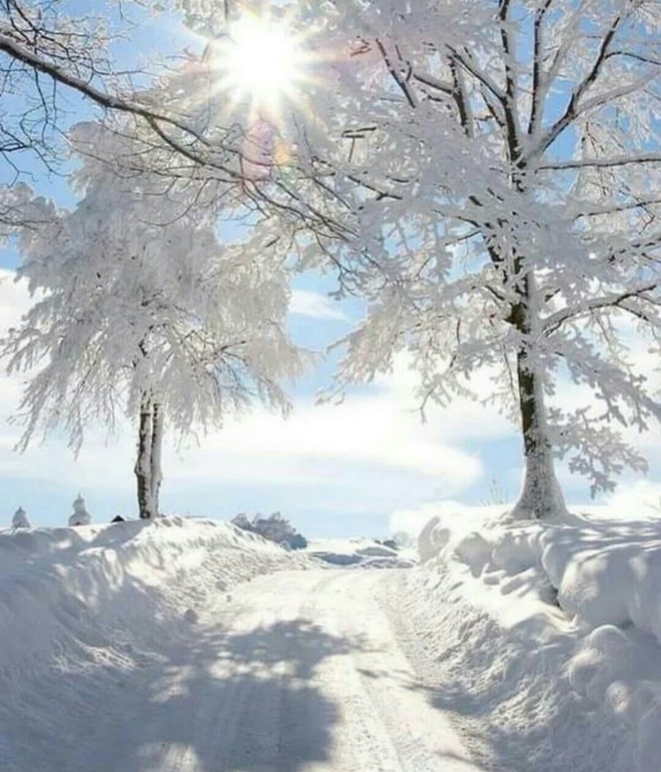 Просто шикарные и классные фотографии из нашей жизни 