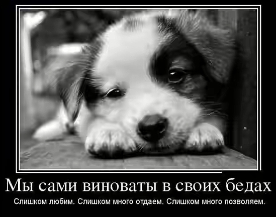 Смешные, прикольные и забавные демотиваторы со смыслом Смешные, прикольные и забавные демотиваторы со смыслом