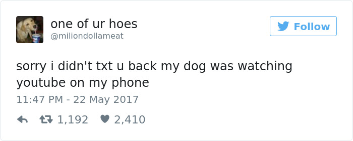 Dog Tweets