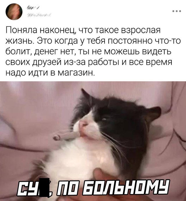 Подборка картинок. Вечерний выпуск Подборка картинок. Вечерний выпуск приколы,смешные картинки,юмор