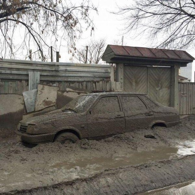 Подборка прикольных фото Подборка прикольных фото смешные картинки