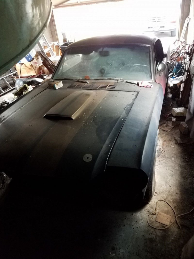 Из проката в забытье: уникальный Mustang нашли в сарае Из проката в забытье: уникальный Mustang нашли в сарае авто