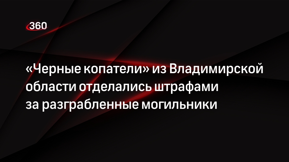 «Черные копатели» из Владимирской области отделались штрафами за разграбленные могильники