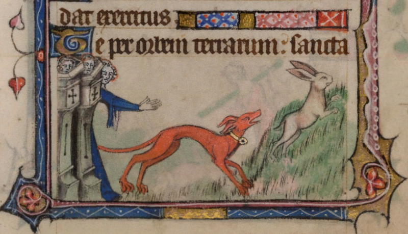 Иллюстрированная повесть об охоте знатных дам из средневекового замка Иллюстрированная повесть об охоте знатных дам из средневекового замка история