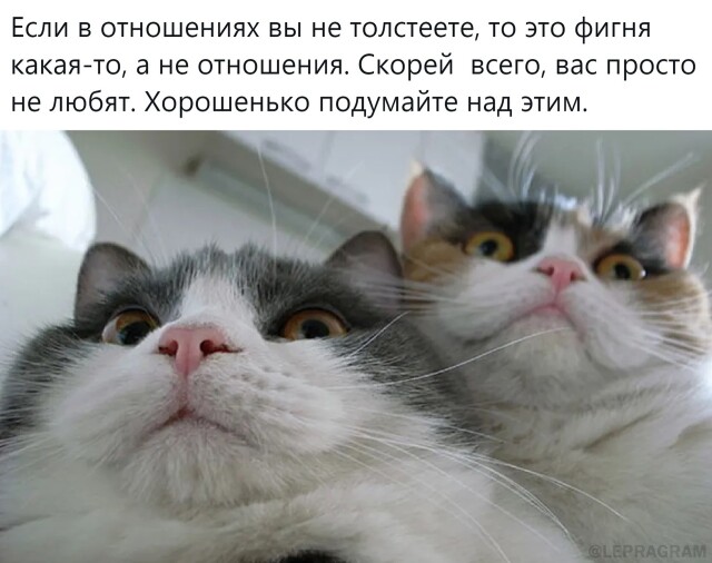 Смешные фотомемы для хорошего настроения Смешные фотомемы для хорошего настроения