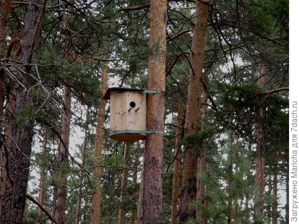 Экскурсия в Буддийский дацан бурятия,путешествие