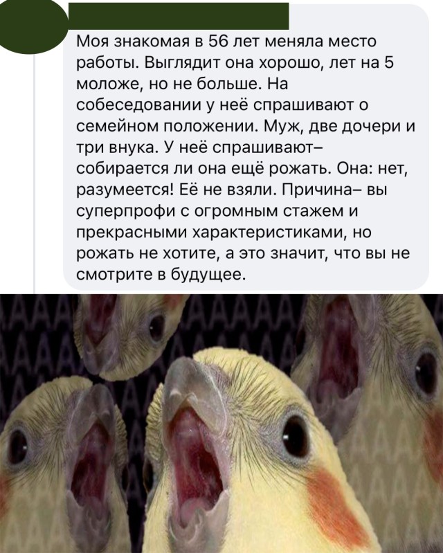 Подборка картинок. Вечерний выпуск Подборка картинок. Вечерний выпуск приколы,смешные картинки,юмор