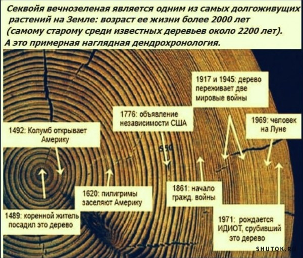 Смешные картинки с надписям 