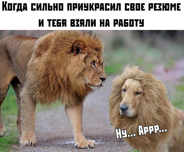 Подборка прикольных фото №2250(74 фото)