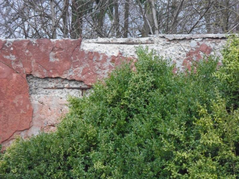 Западная Украина: памятники, память и беспамятство Западная Украина: памятники, память и беспамятство украина