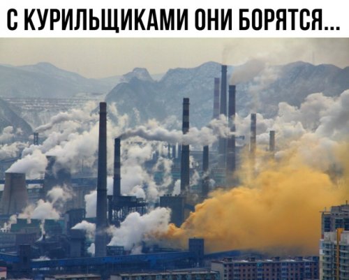 Новые прикольные картинки и фото Новые прикольные картинки и фото