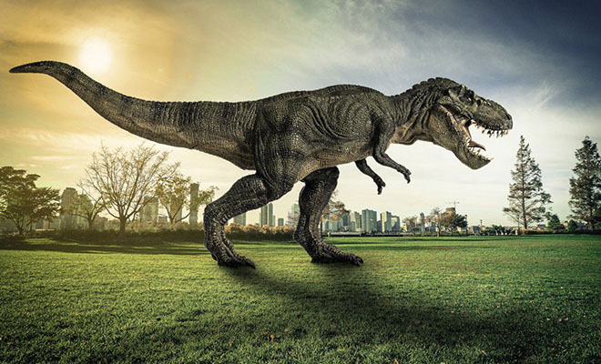 Ученые узнали, что на Земле в сумме жили 2,5 миллиарда тираннозавров