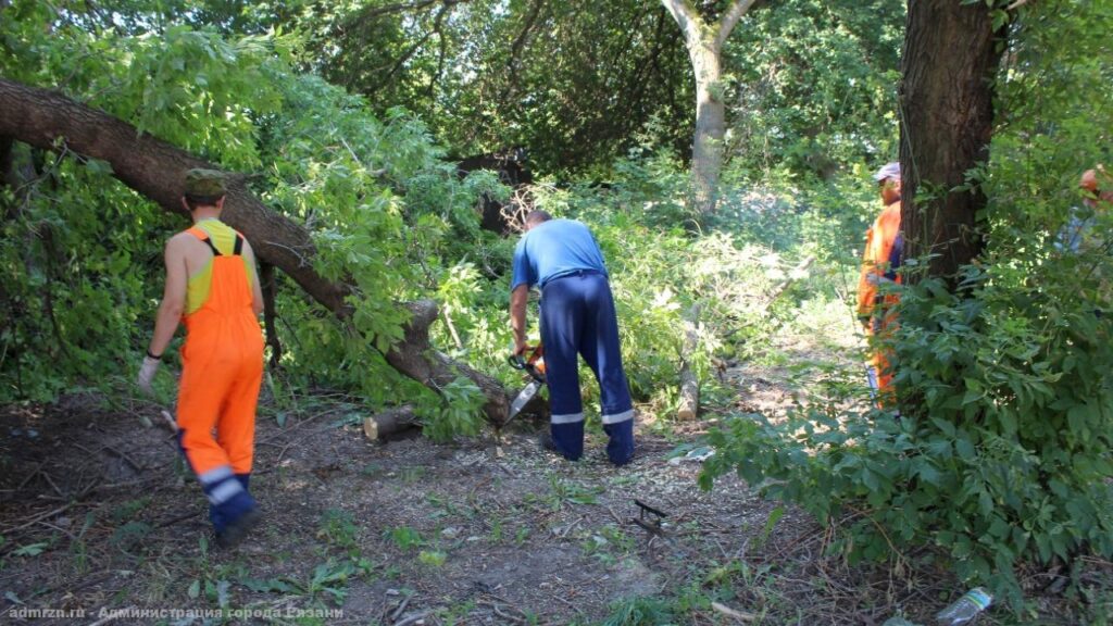 В Рязани коммунальщики убирают с улиц аварийные деревья