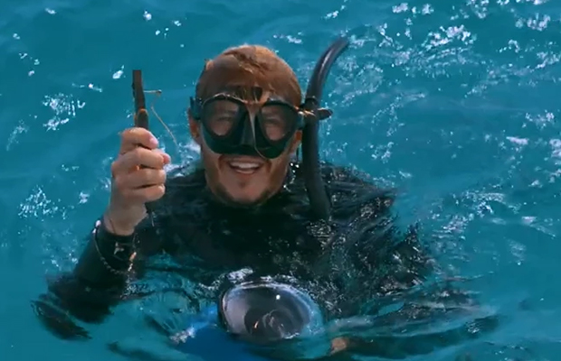 Трехметровый морской дьявол приплыл за помощью к людям Трехметровый морской дьявол приплыл за помощью к людям животные,природа,спасение