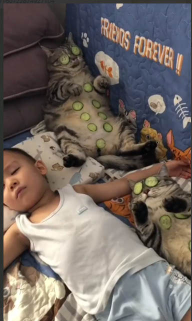 19 свежих картинок с надписями 