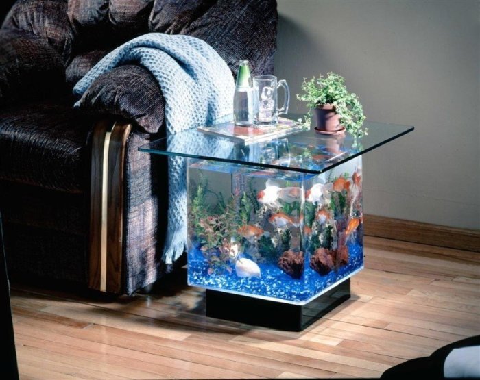 Как украсить аквариум: 40 интересных вариантов