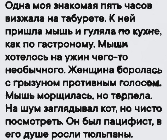 Короткие истории 
