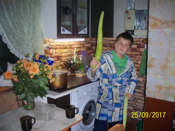 длдлдл