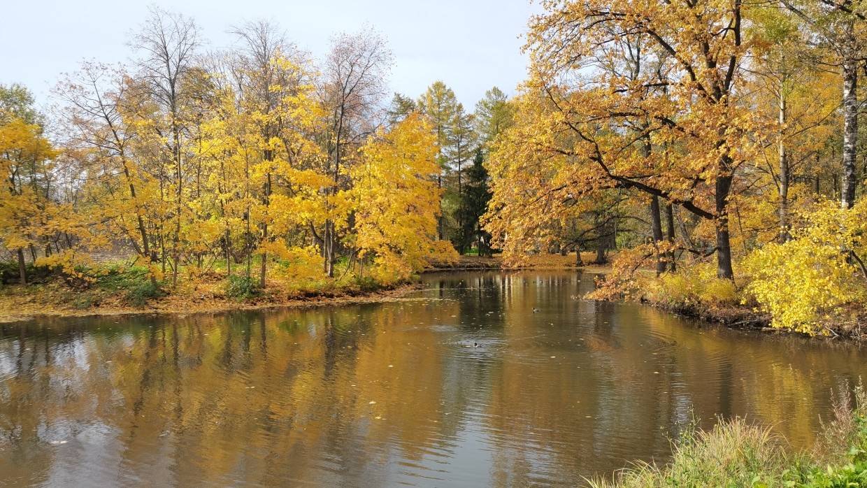 Гидрометцентр анонсировал потепление в Центральной России