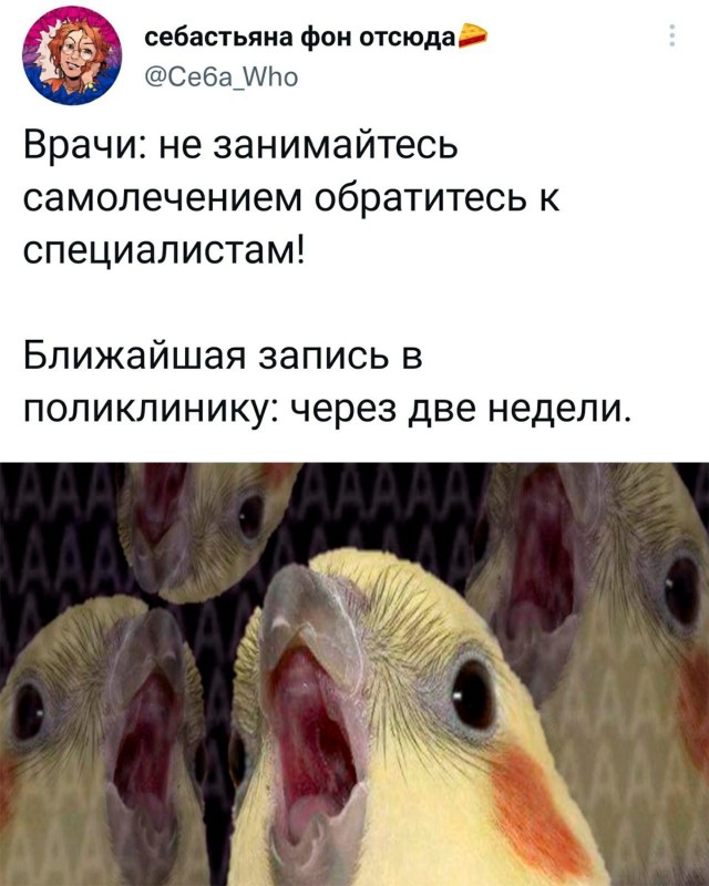 Подборка прикольных картинок  приколы,смешные картинки,юмор